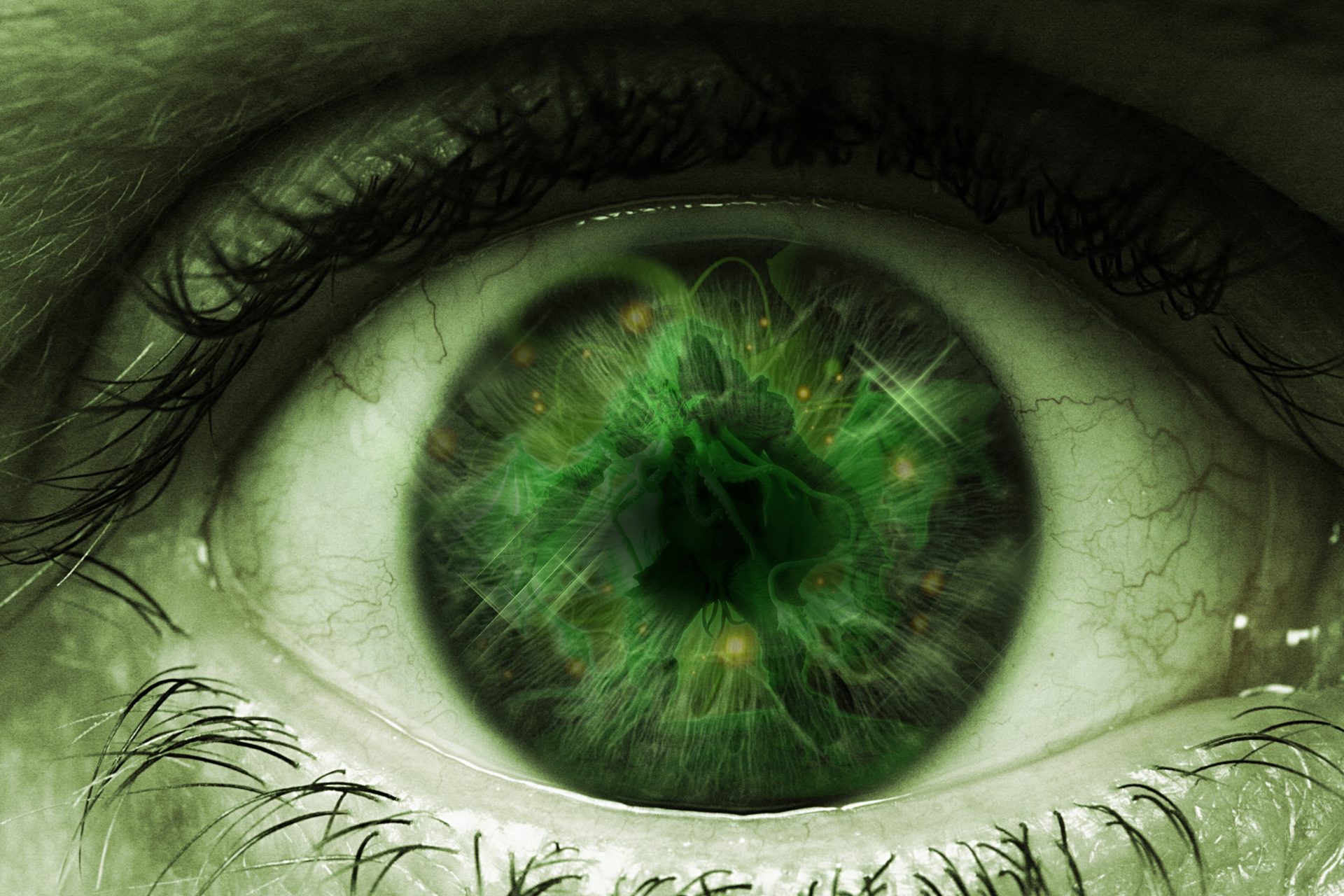 You are currently viewing This Special Factor Is The Mark Of A Good Business Owner