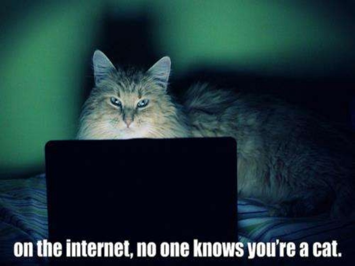 The Dark Side of Social Media Screening Technology 1
