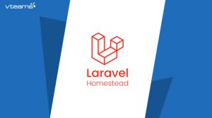 Read more about the article 5 Reasons to use Laravel Homestead