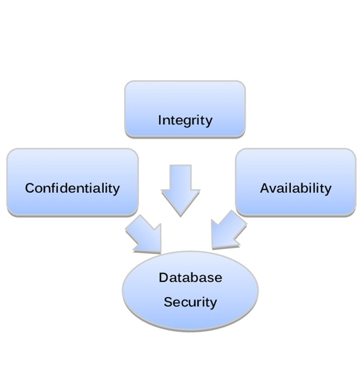 What Support and Security Your Database Needs